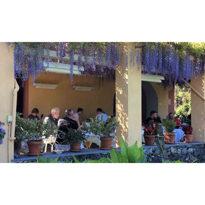 Outdoor eating area with several white Heatscope heaters providing warmth for diners, surrounded by abundant greenery, ideal for outdoor living.